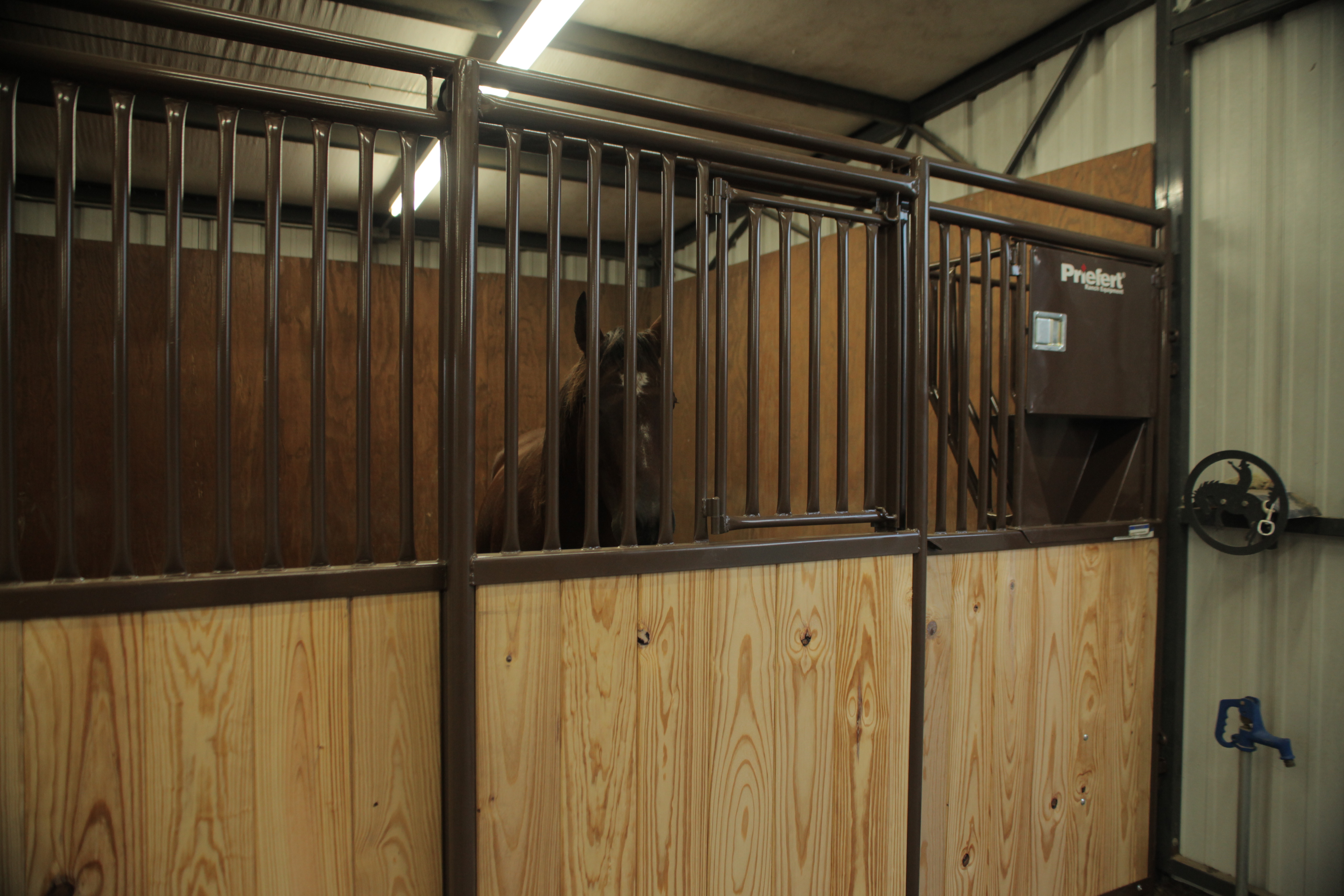 Premier Horse Stalls 03.JPG